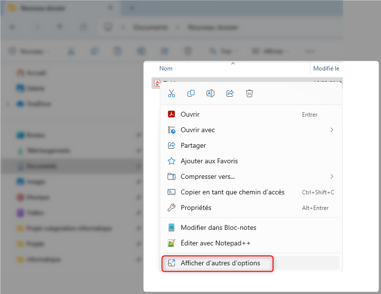 Afficher d'autres options